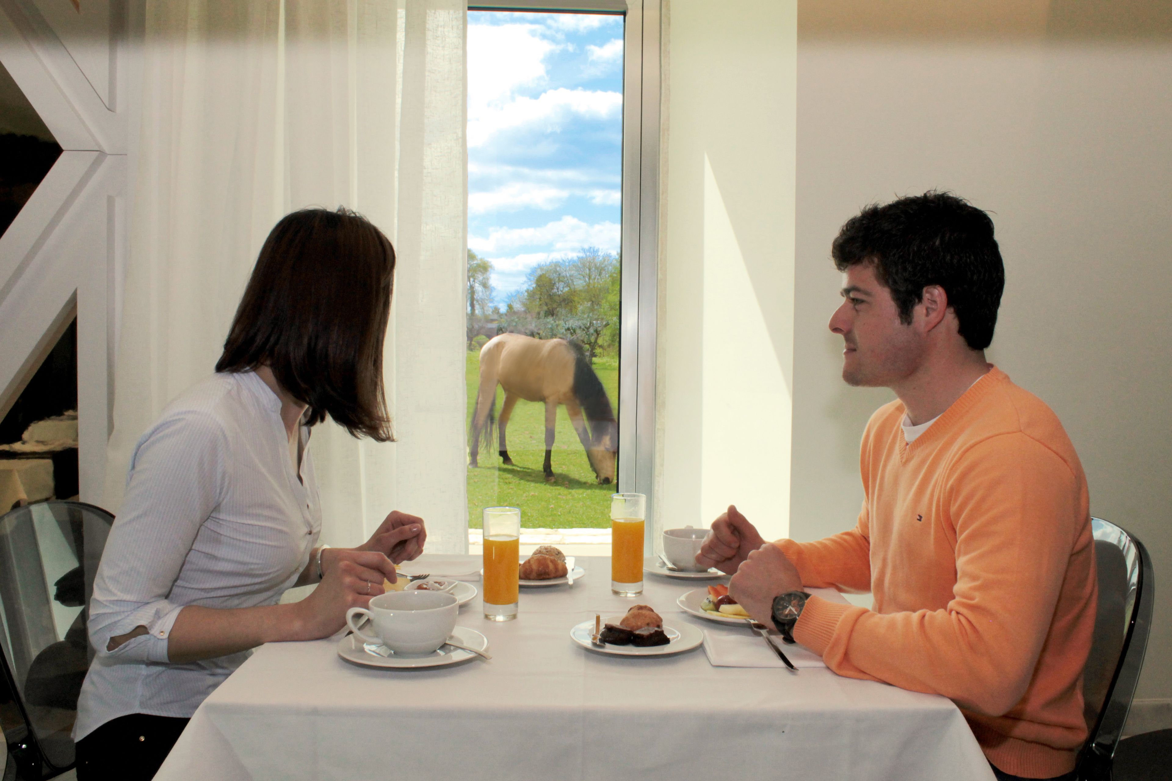 brunch served, garden views