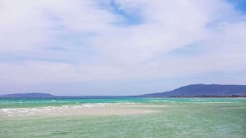 On the beach