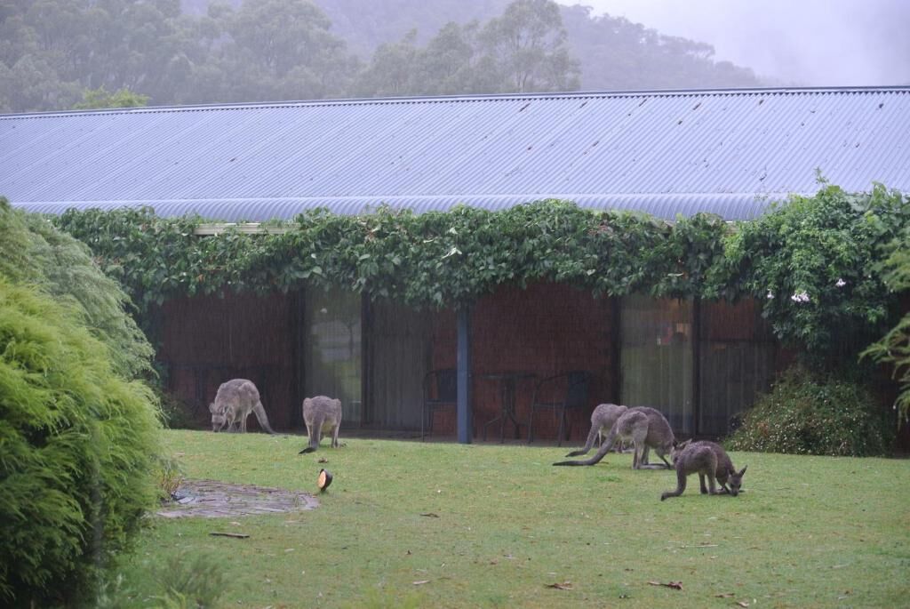 A building with a corrugated metal roof and a covered area with a green roof.