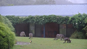 A building with a corrugated metal roof and a covered area with a green roof.