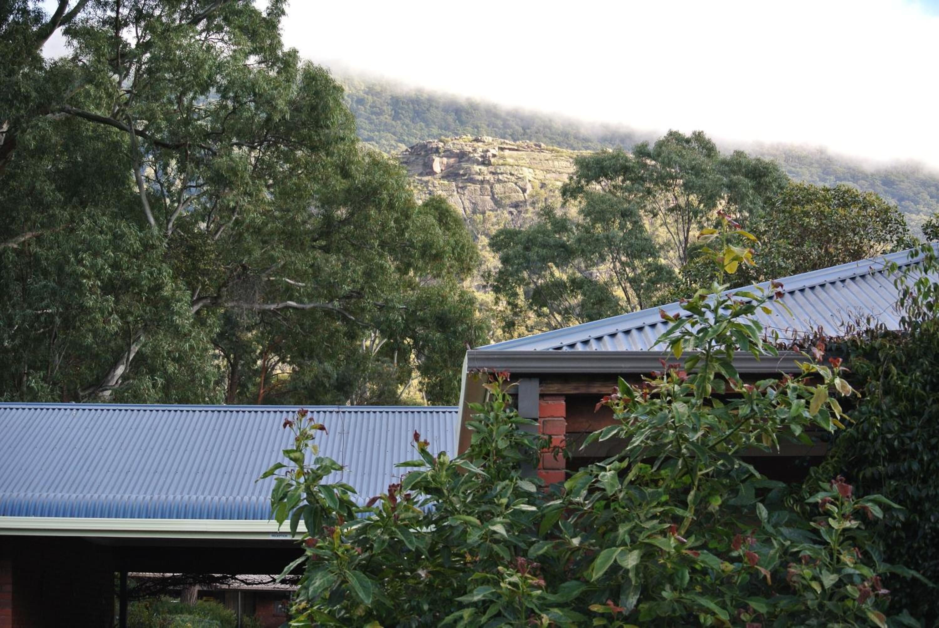A house with a corrugated metal roof, surrounded by dense green foliage and a mountainous backdrop.