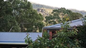 A house with a corrugated metal roof, surrounded by dense green foliage and a mountainous backdrop.