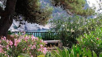 Vue depuis l’hébergement