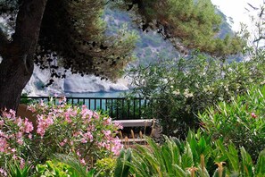 Vistas desde el alojamiento