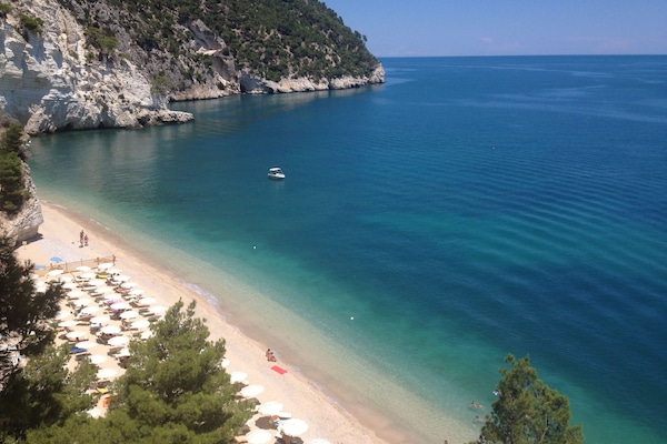 On the beach, sun loungers, beach umbrellas, 2 beach bars
