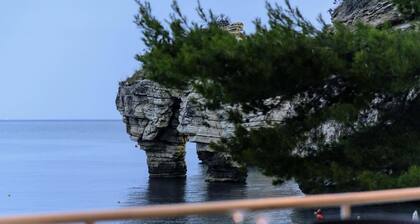 Baia Delle Zagare - Handwritten Collection