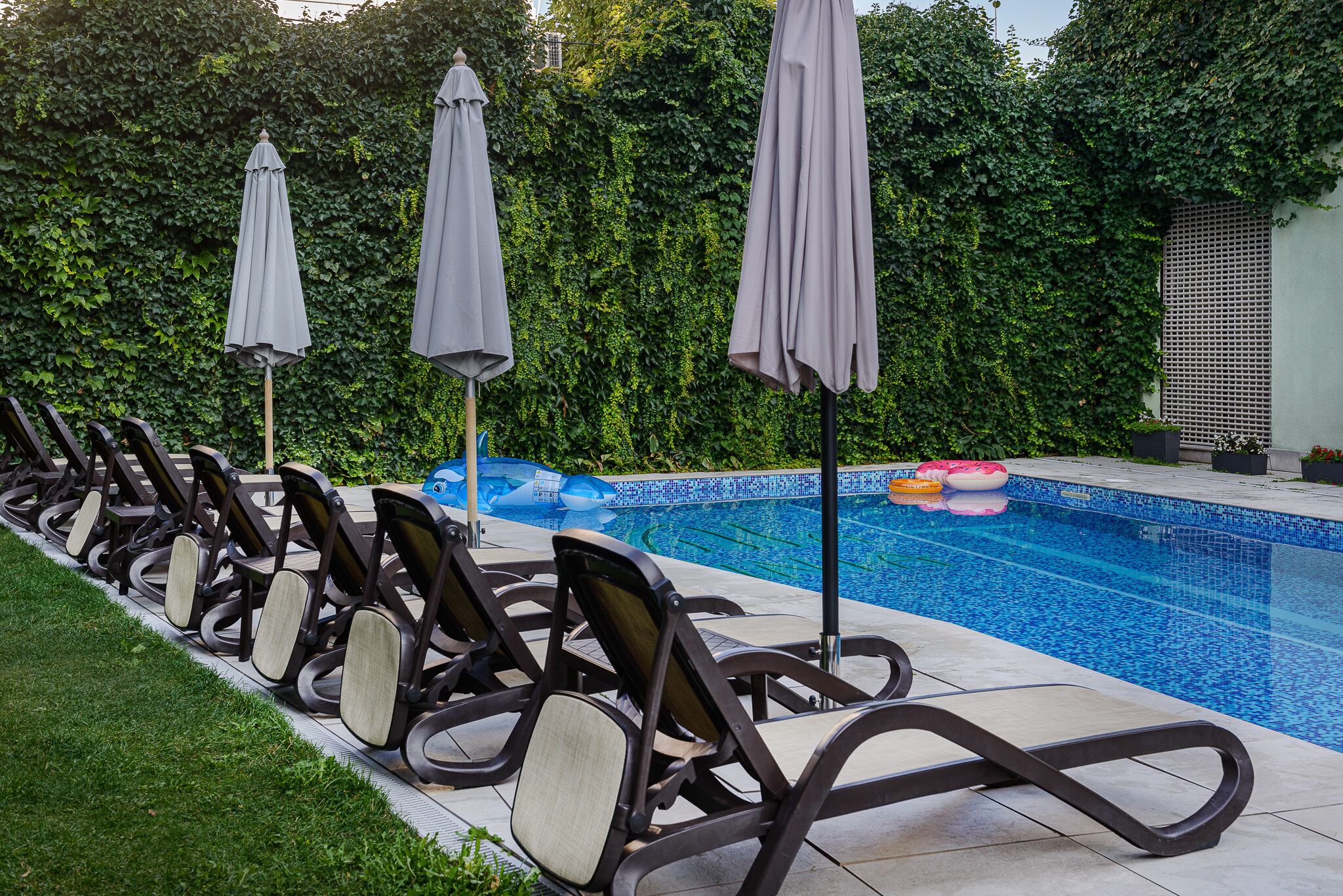 A poolside area with lounge chairs and umbrellas, a tiled pool, and a hedge in the background.