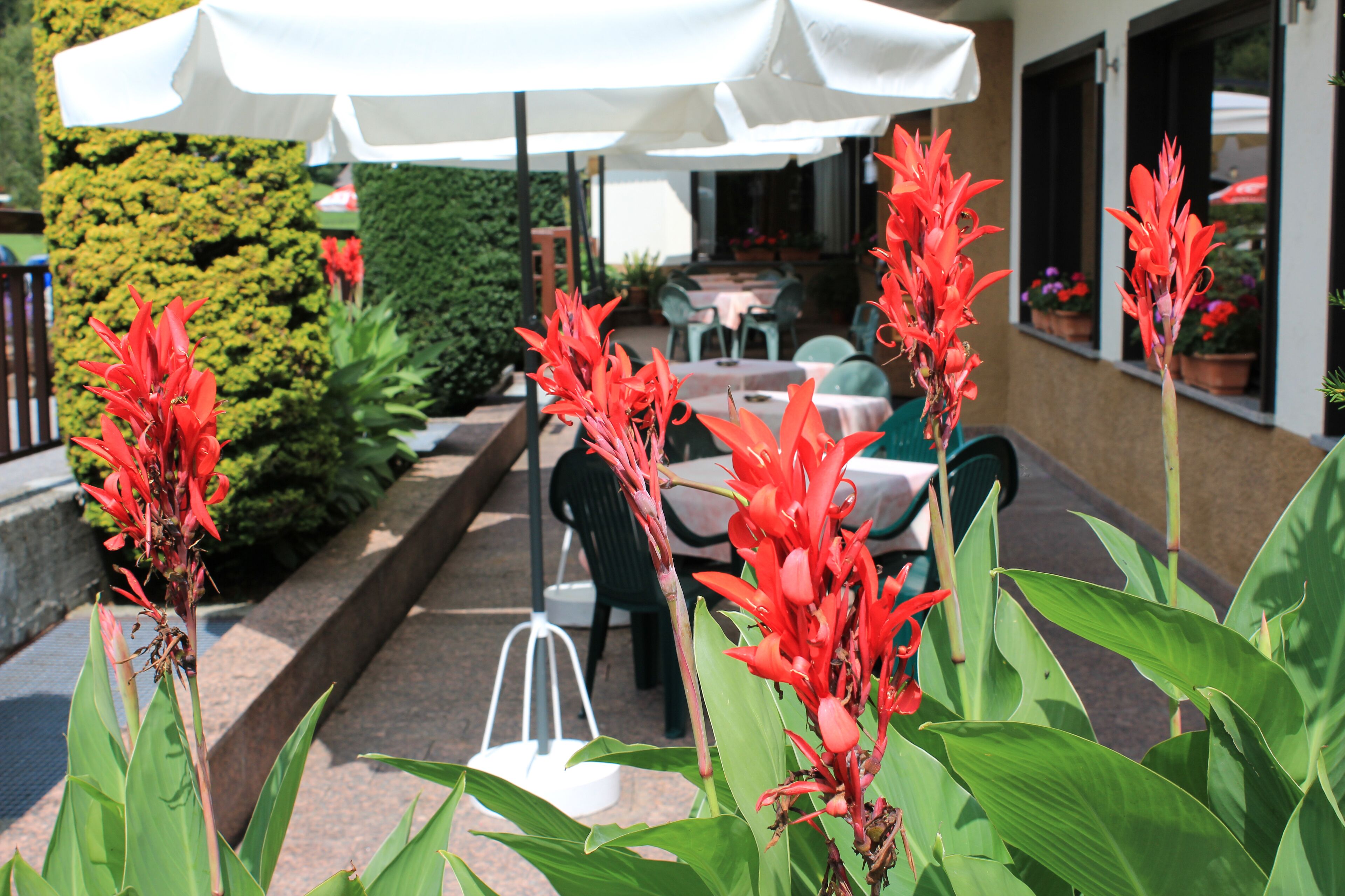 Terrazza/patio