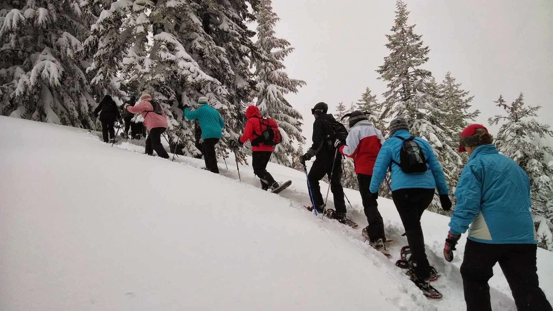 En grupp människor vandrar uppför en snötäckt sluttning, med snöklädda träd i bakgrunden.