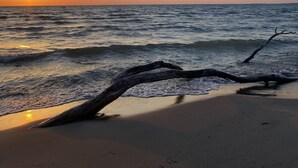 Een strand met een omgevallen boom op de voorgrond en de zon die in de oceaan verdwijnt.