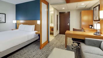 Room, 1 King Bed with Sofa bed