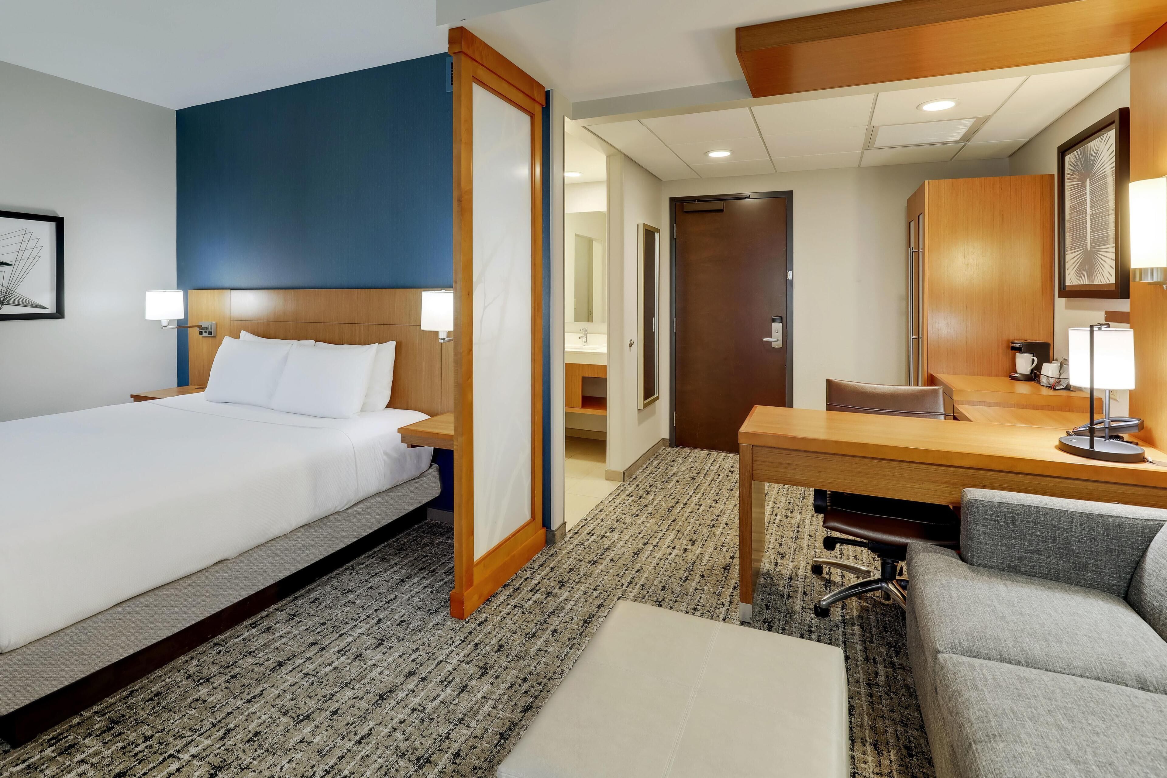 Room, 1 King Bed with Sofa bed