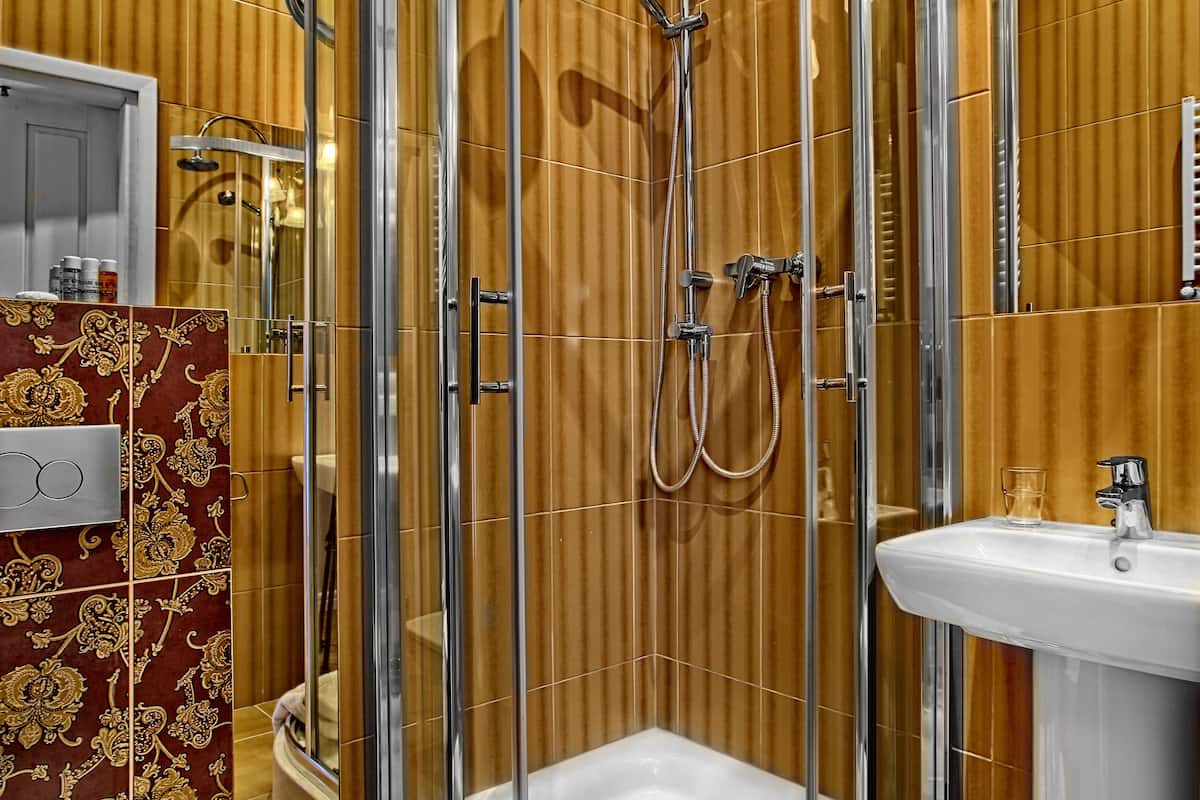 shower, free toiletries, hair dryer, towels