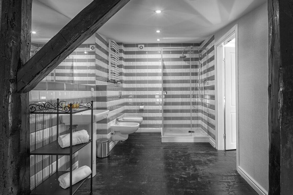 suite, 1 bedroom | bathroom | shower, free toiletries, hair dryer, towels