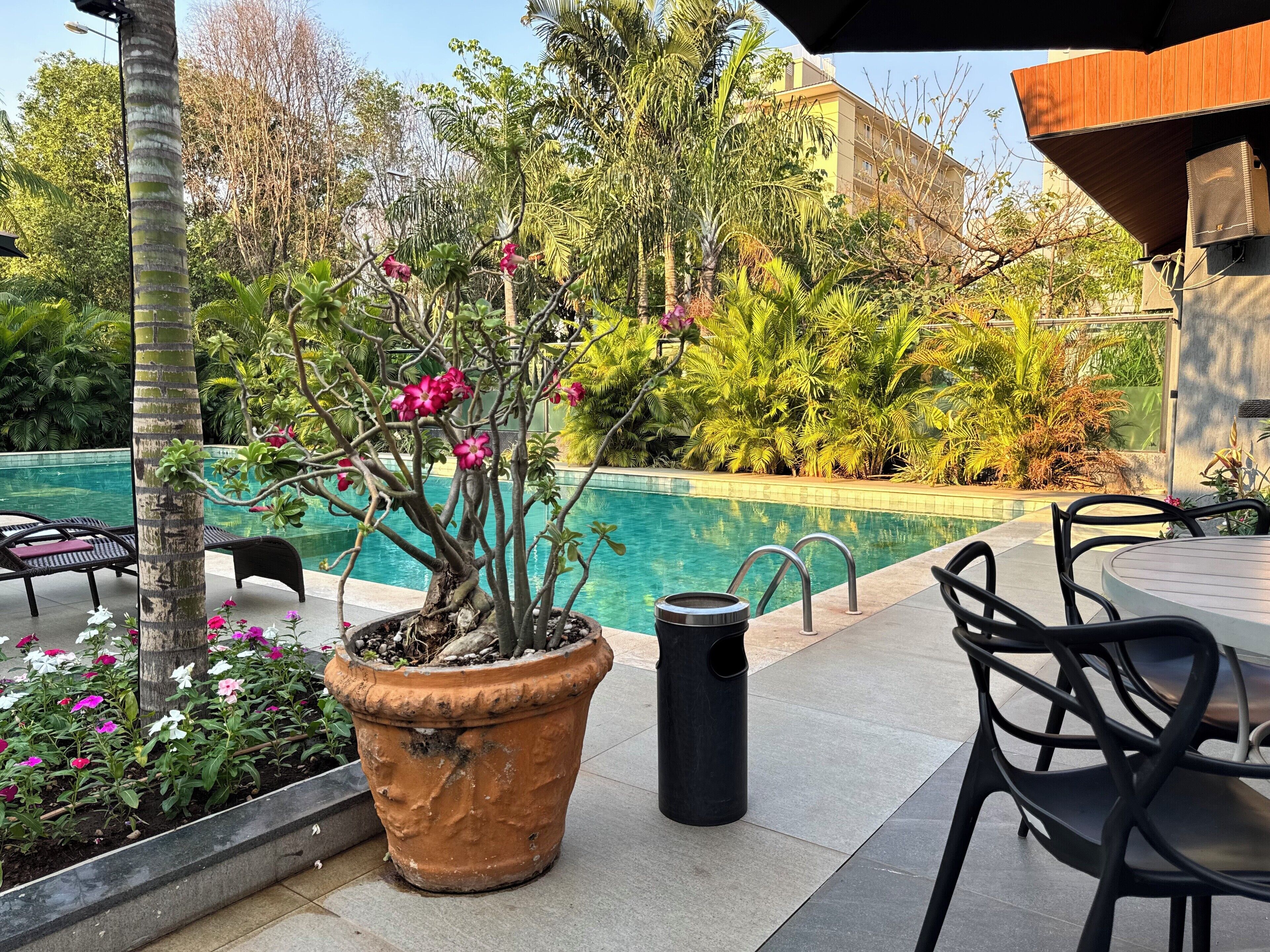 Outdoor pool, open 9:00 AM to 10:00 PM, free cabanas, sun loungers