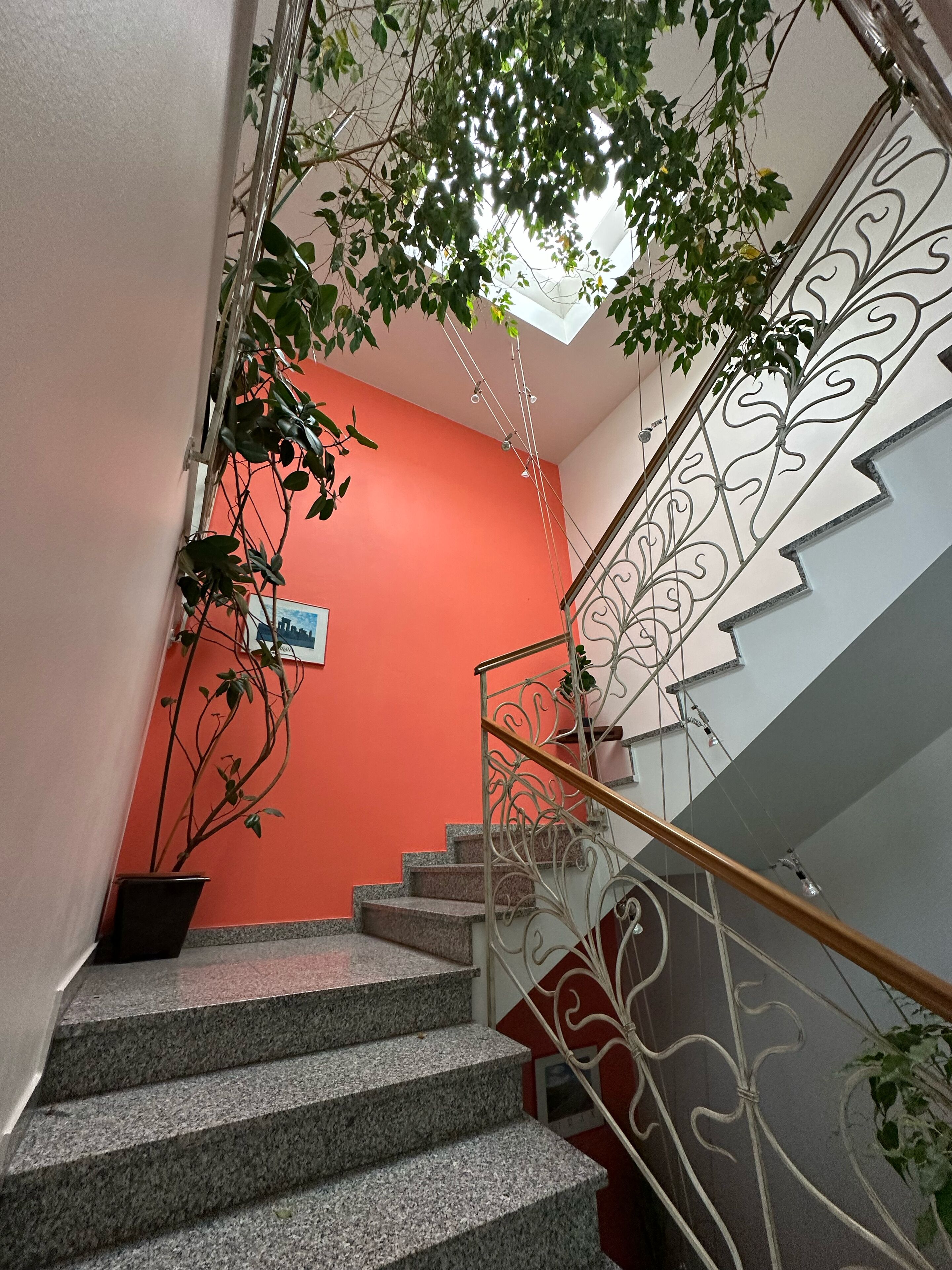 Photo - Pension Erlaa