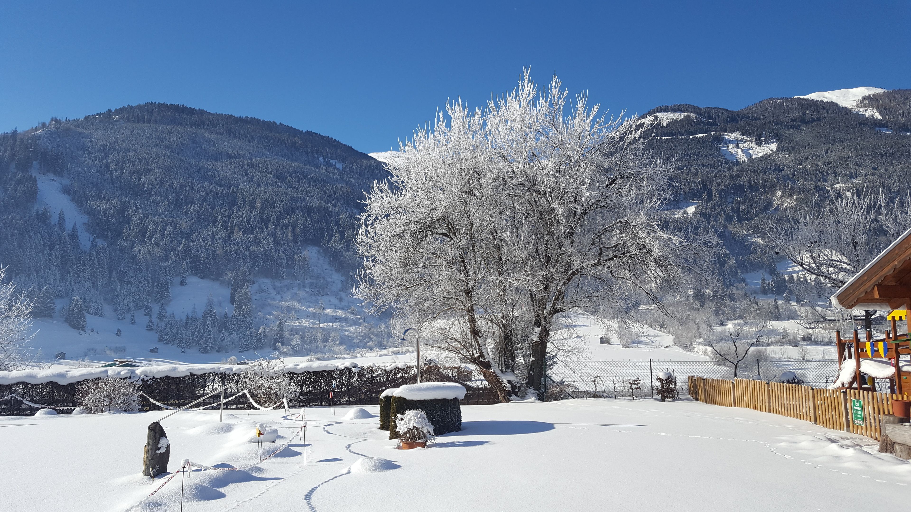Schneebedeckte Landschaft mit einer Holzhütte, einem mit Schnee bedeckten Baum und Bergen im Hintergrund.