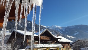 Exterior detail - Haus Katharina (Bad Hofgastein)
