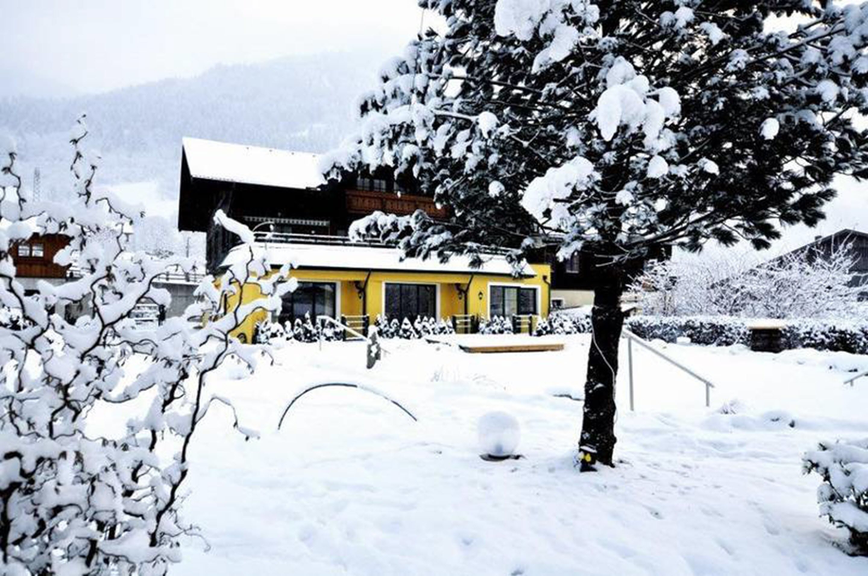 Een geel gebouw met een sneeuwbedekte dak en omliggende bomen.