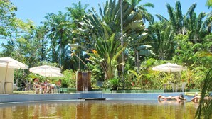 Uma área de piscina com espreguiçadeiras e guarda-sóis, rodeada por vegetação tropical exuberante.