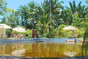 Outdoor pool, pool umbrellas, sun loungers - Paraíso das Águas Bahia (Itubera)