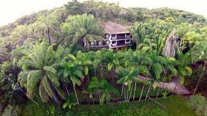 Um edifício de dois andares cercado por vegetação tropical densa, incluindo palmeiras e samambaias.