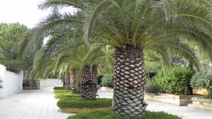 A landscaped area with palm trees and neatly trimmed bushes. - Hotel Vecchio Mulino (Monopoli)