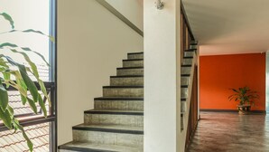 A staircase with a concrete finish and black edges, leading to a room with an orange wall and a potted plant. - Sunshine House (Chiang Mai)