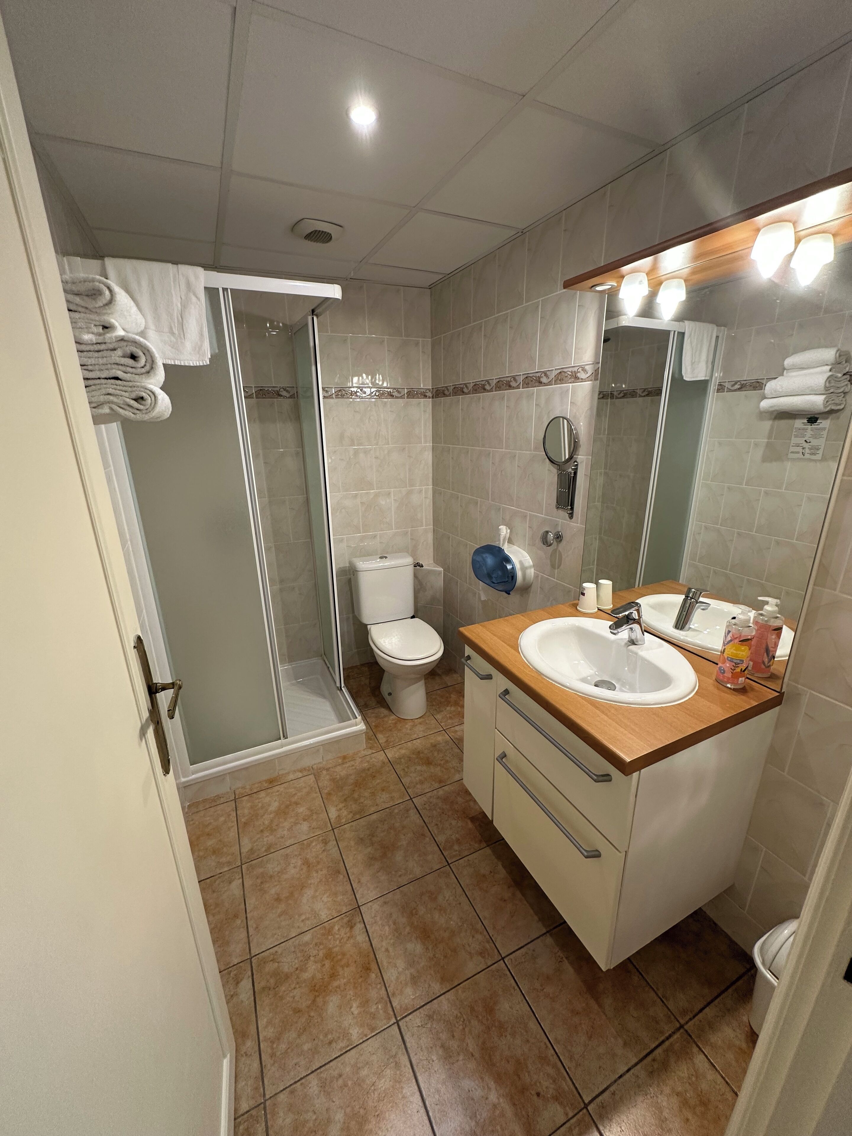 superior double room | bathroom | free toiletries, hair dryer, towels, soap