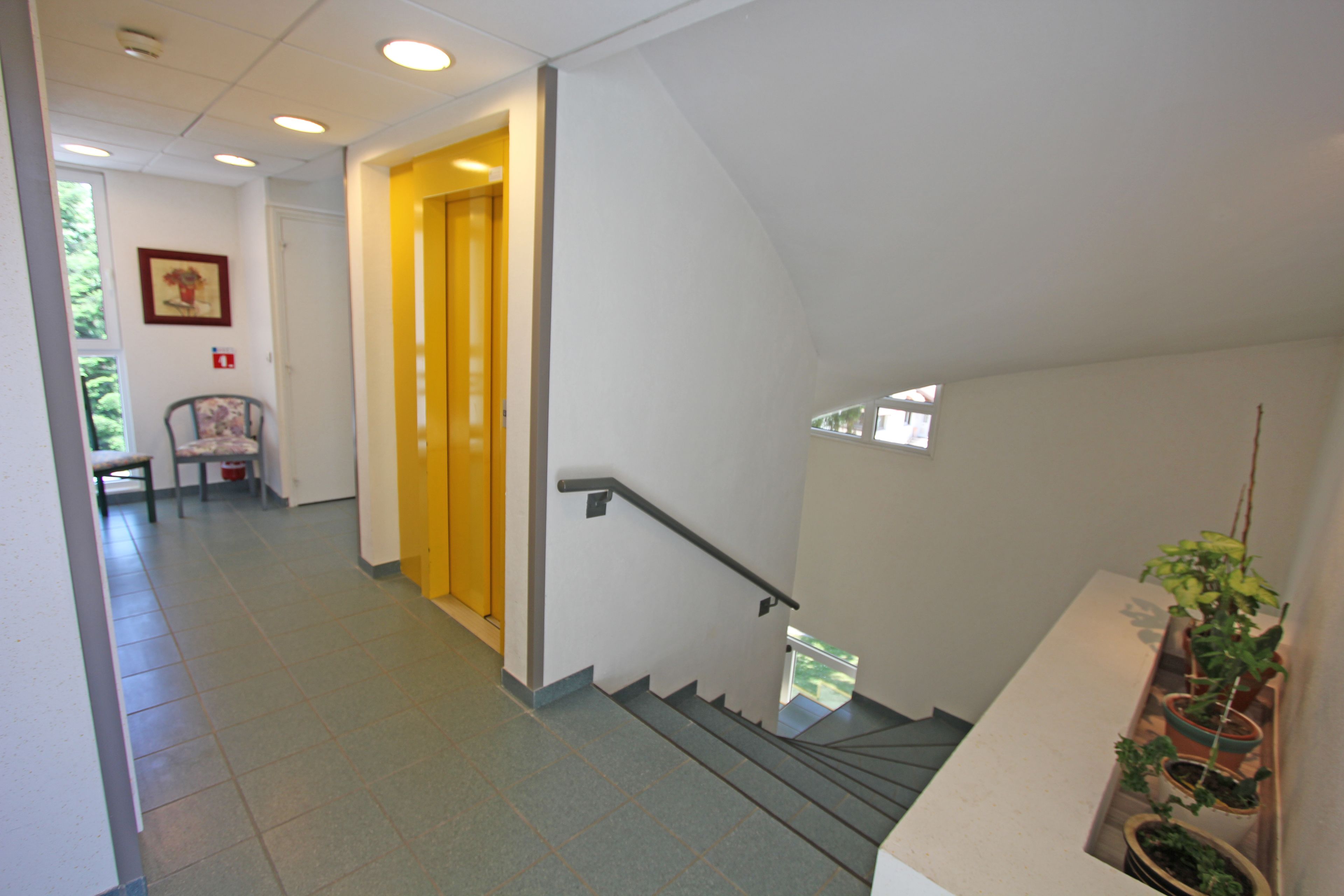 A staircase with a handrail, a chair, and a potted plant.