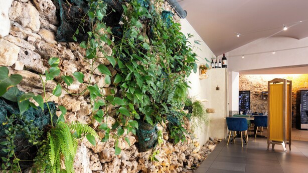 A stone wall with lush greenery, a modern interior with a dining area, and a stone wall with a wine rack. - Hôtel de la tour à LIBOURNE (Libourne)