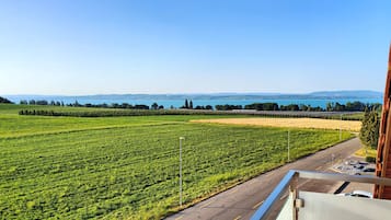 Literie hypoallergénique, minibar, coffres-forts dans les chambres