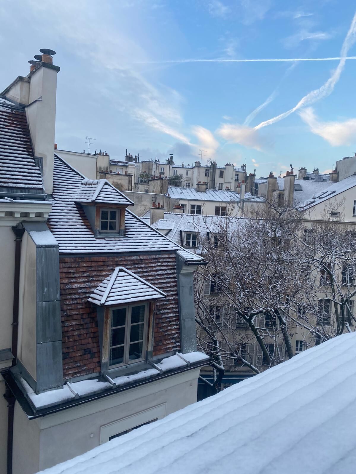 A row of residential buildings with snow-covered roofs and a clear sky.