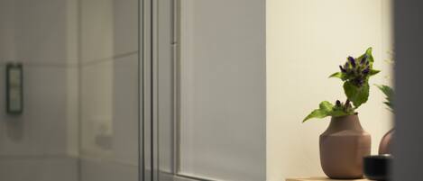 A bathroom with a glass shower enclosure, a potted plant on a shelf, and a mirror reflecting the plant.