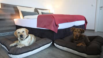Un dormitorio con una cama, dos camas para perros y suelo de madera.