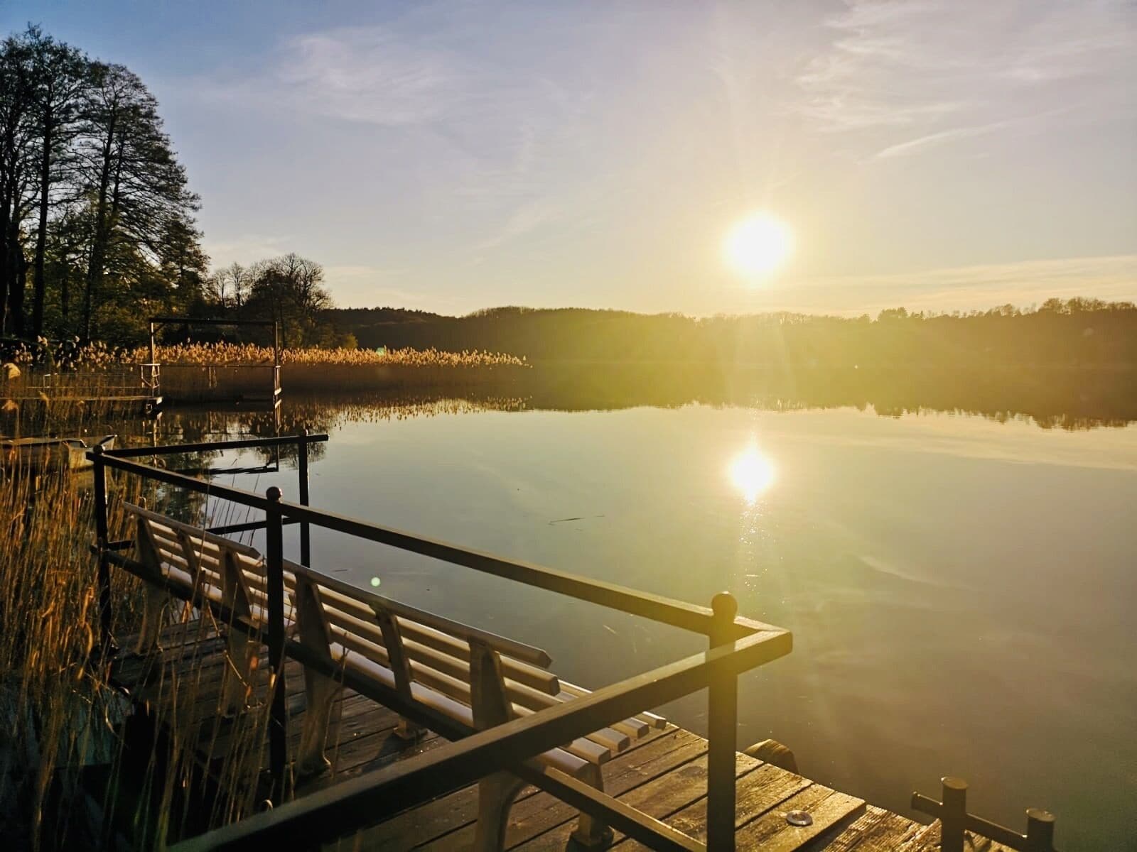 A wooden pier extending into a calm lake with a clear sky and trees in the background.