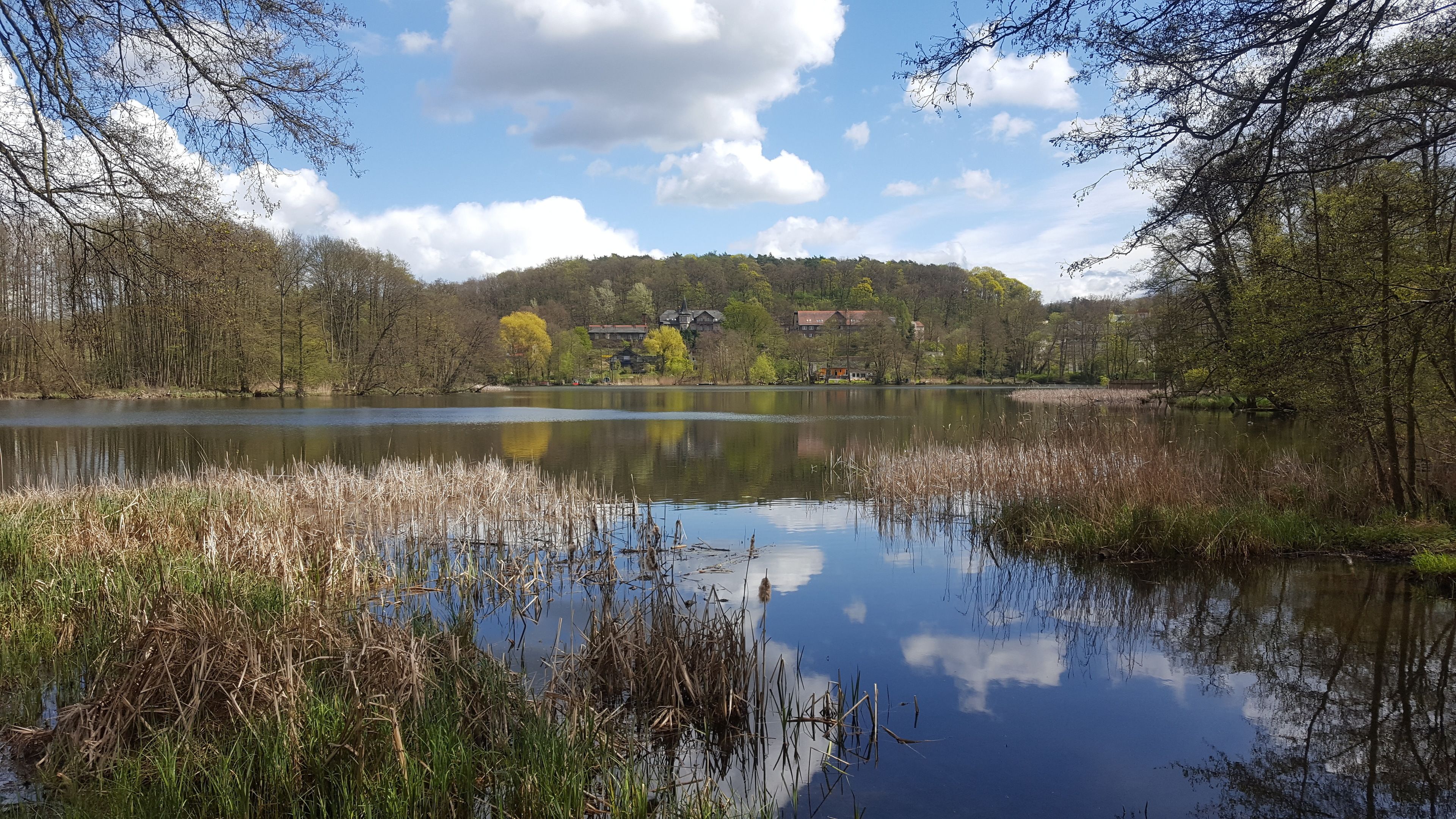 A serene lake with surrounding trees and a distant building.