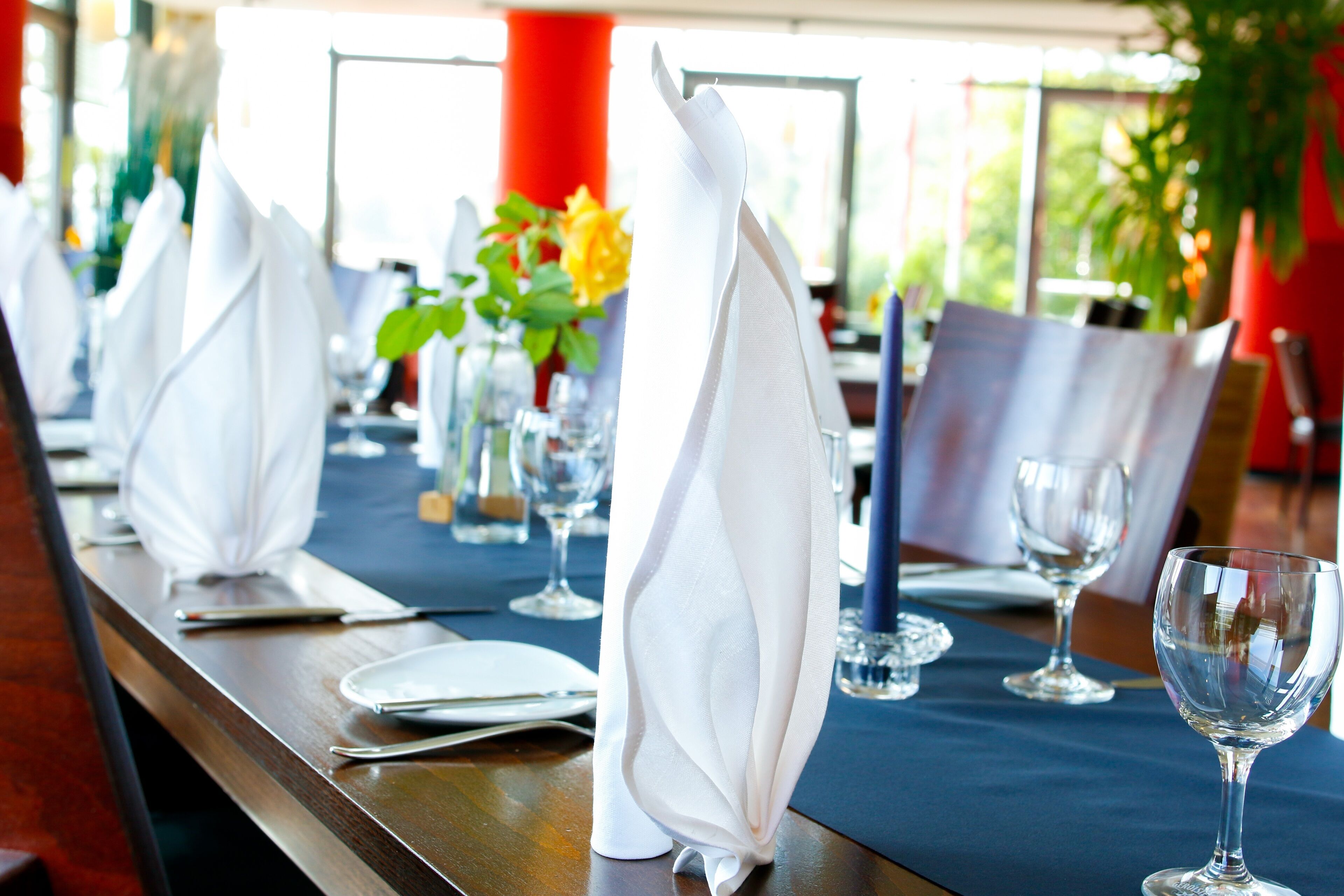 lunch, dinner served; regional cuisine, al fresco dining