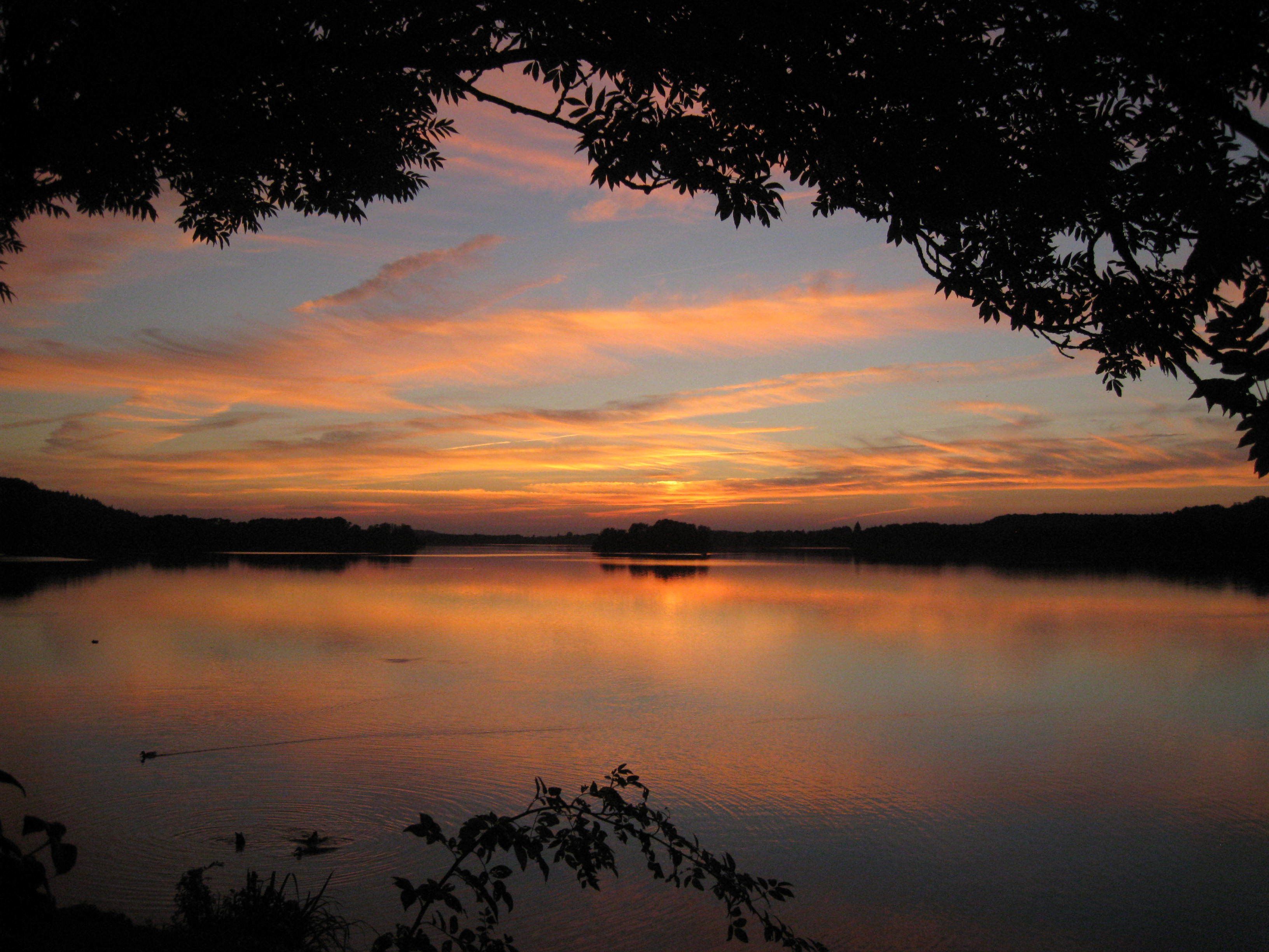 Ein ruhiger See bei Sonnenuntergang, bewölkter Himmel und Baumkonturen im Vordergrund.