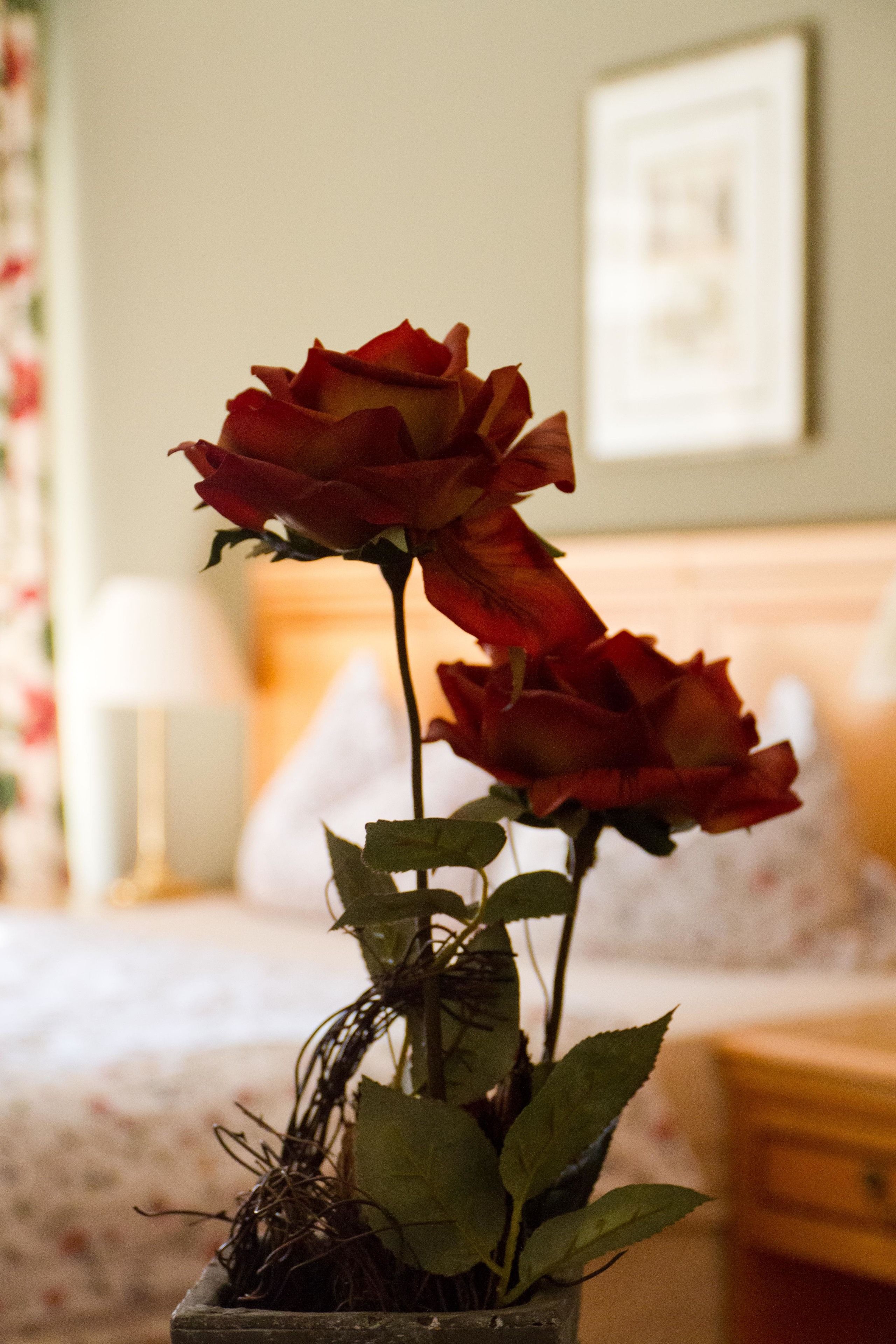 single room | individually decorated, individually furnished, desk, laptop workspace