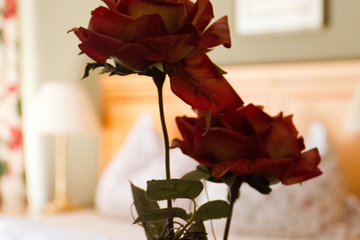 single room | individually decorated, individually furnished, desk, laptop workspace