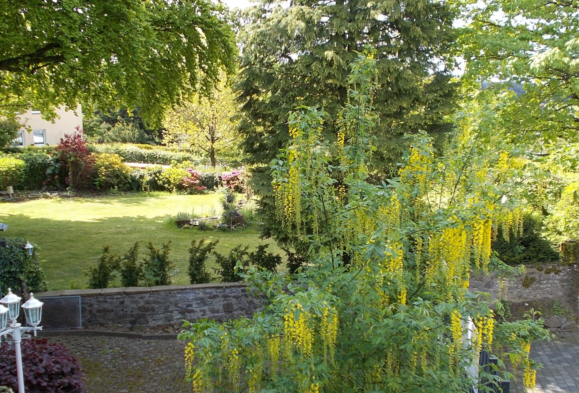 garden view