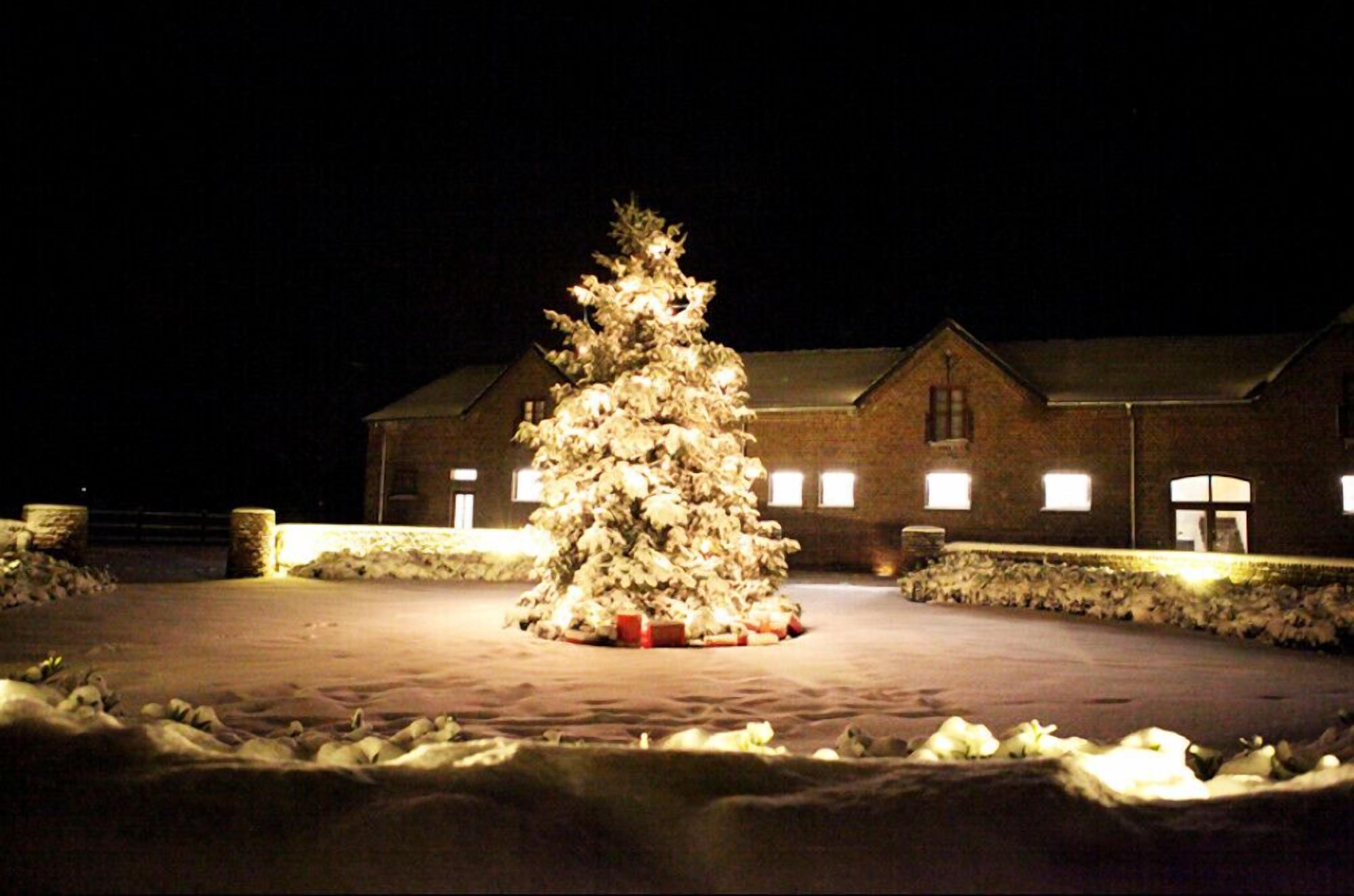 front of property – evening/night