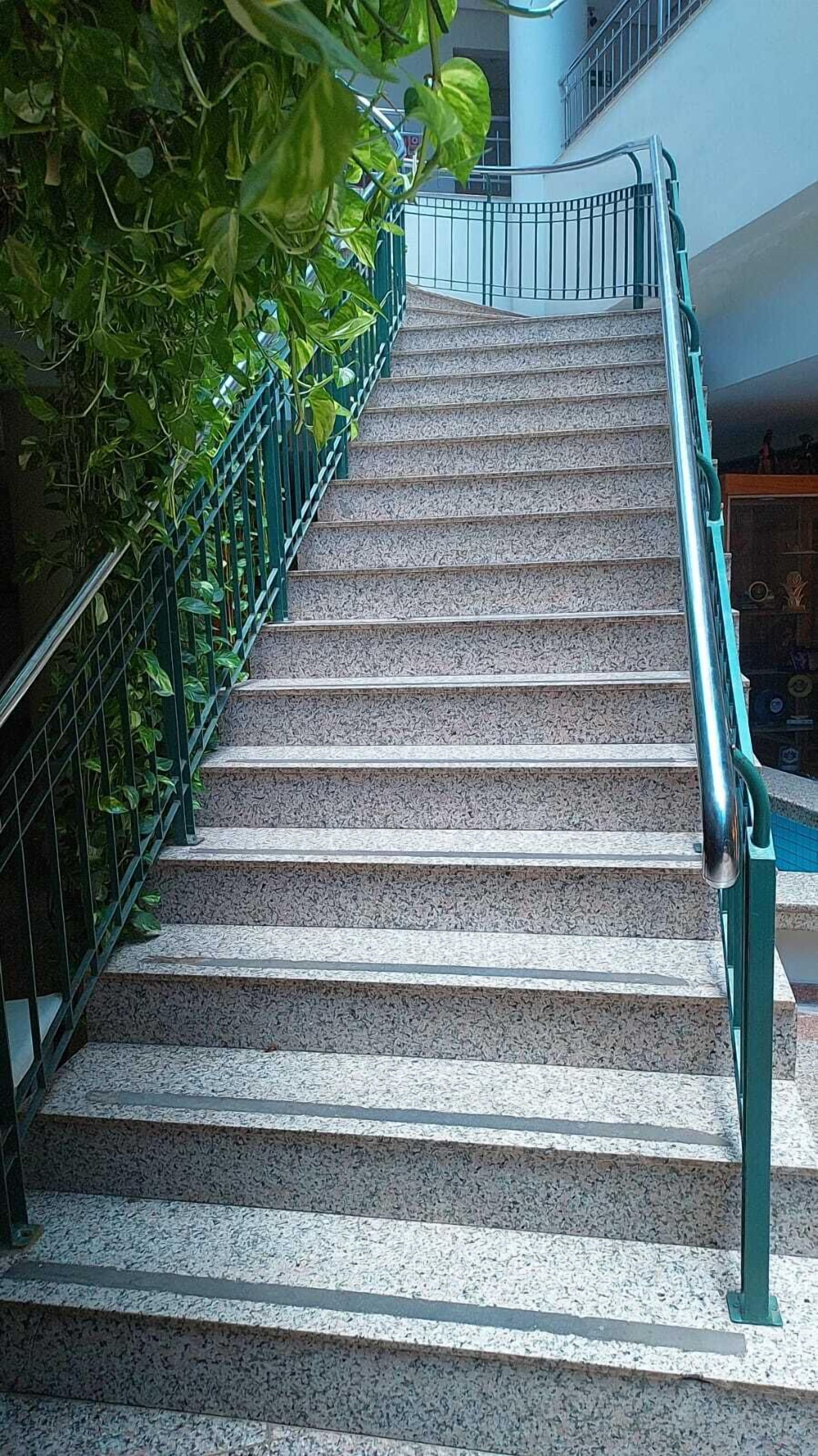 Foto - Pousada dos Girassóis