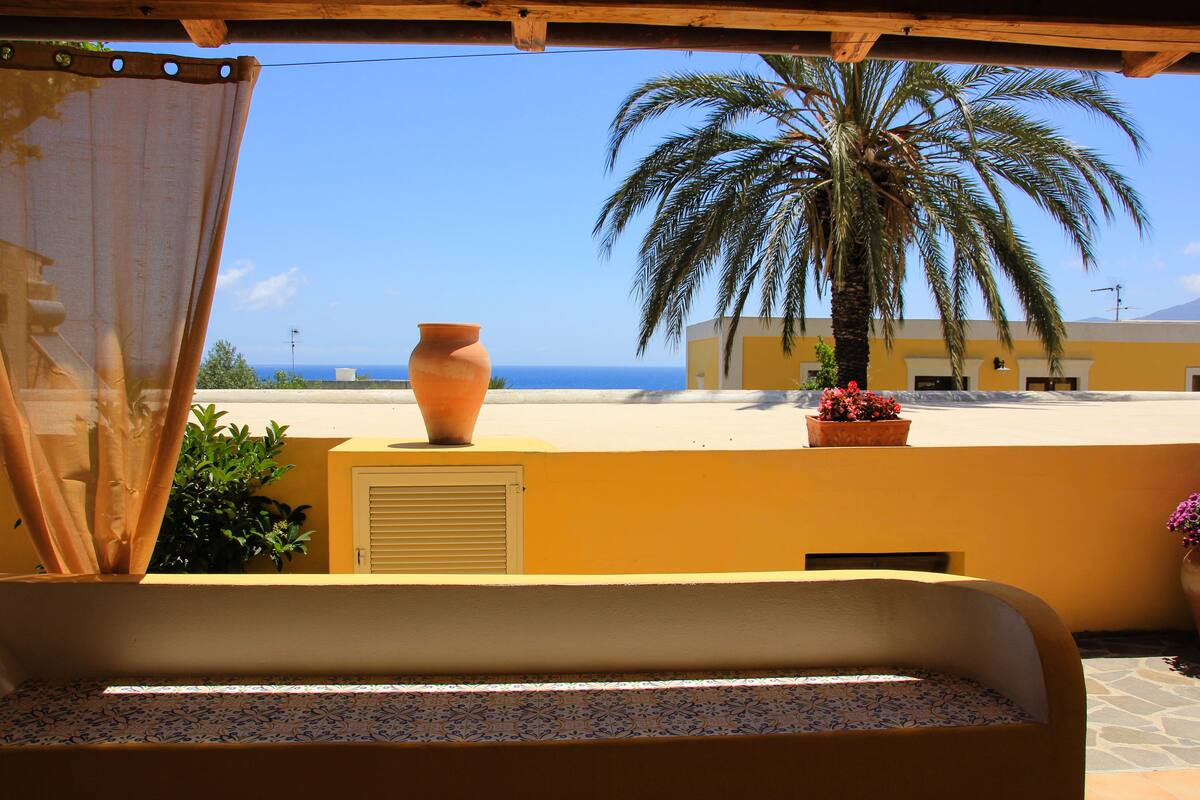 A balcony with a view of the sea, a palm tree, and a large terracotta pot.