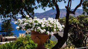 A terracotta pot with white flowers on a balcony with a view of the sea and mountains. - Hotel Arcangelo - Salina (Santa Marina Salina)