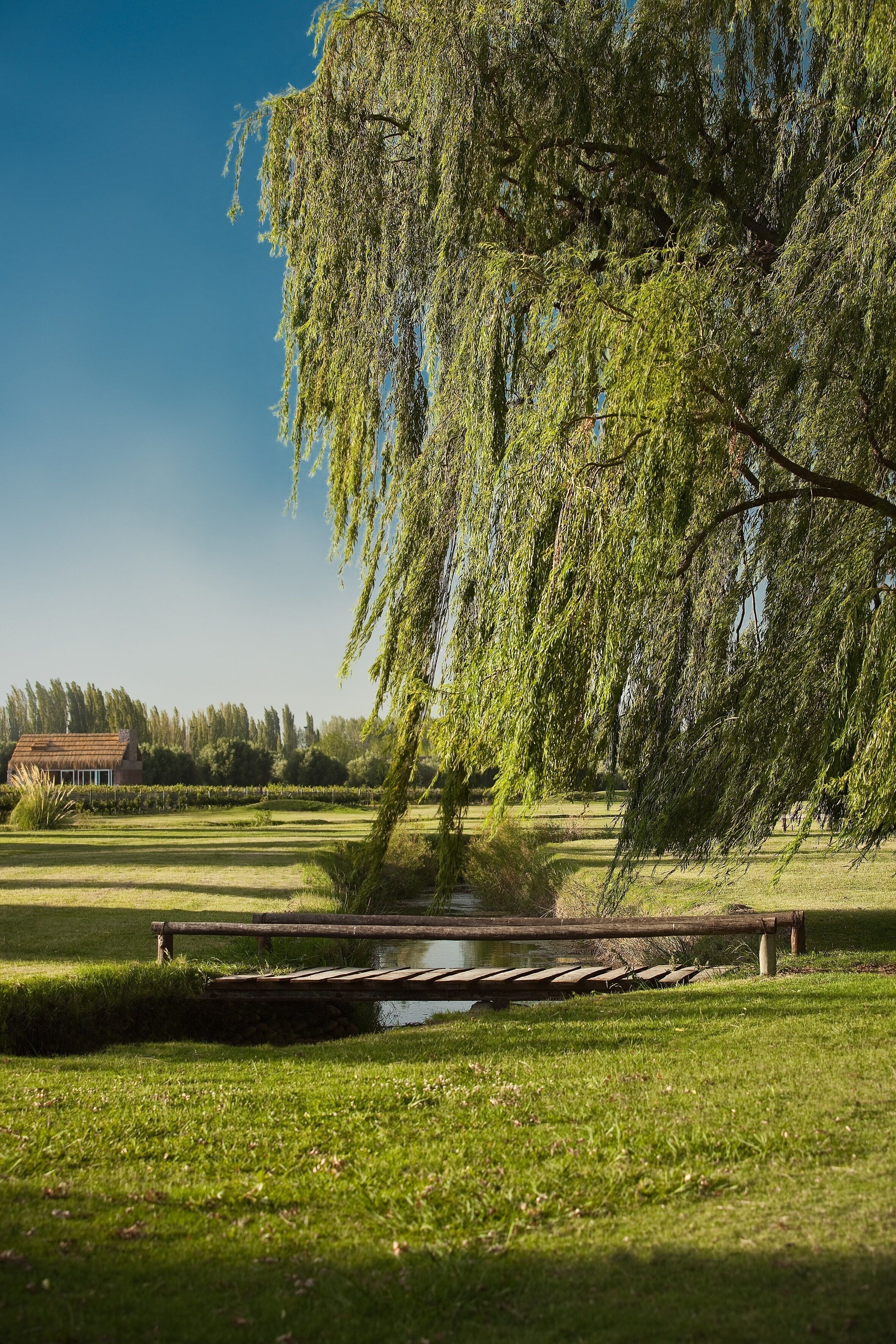 Uitzicht vanuit de kamer