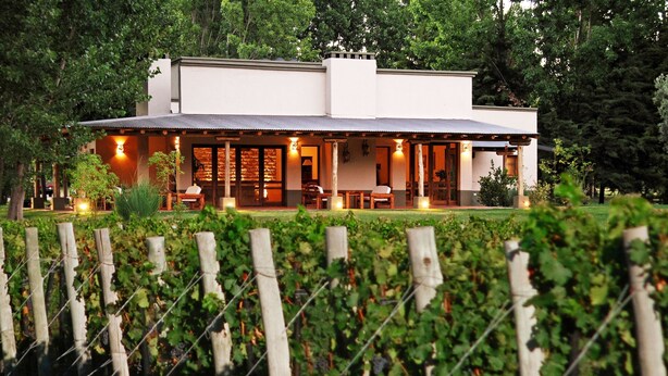 A modern house with a covered patio, large windows, and a vineyard in the foreground. - Algodon Wine Estates and Champions Club (San Rafael)