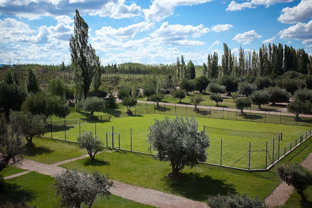 Algodon Wine Estates by null