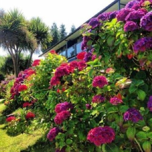Tofino Motel Harborview